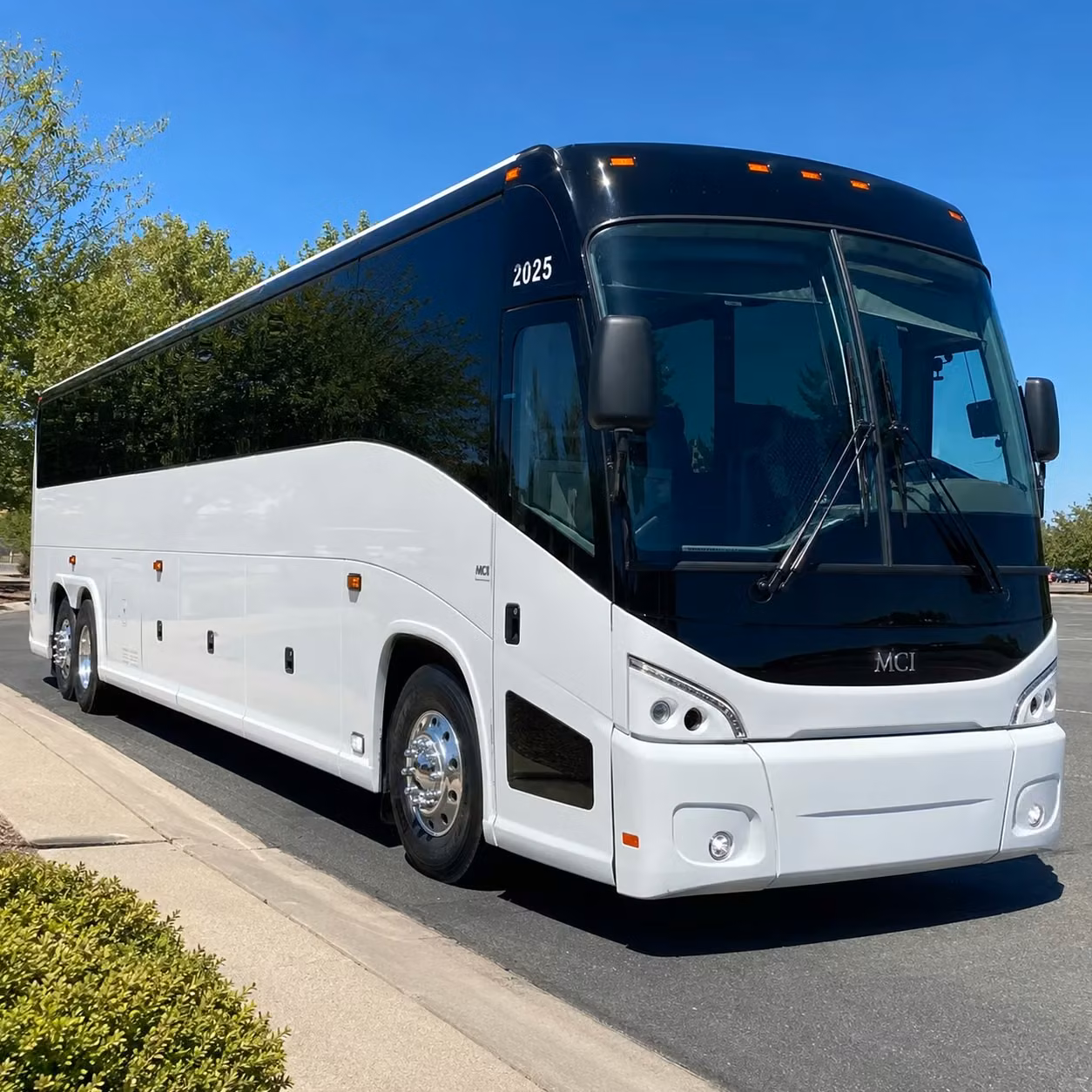 anchorage youth group transportation made simple with coachbusanchorage com