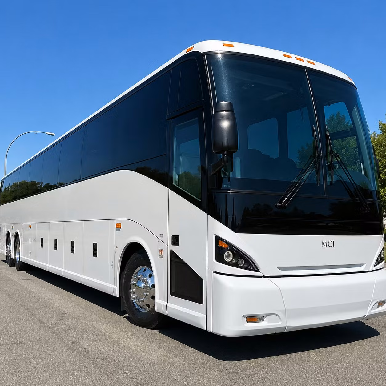 coachbusanchorage com helps you plan around anchorage s unique travel challenges